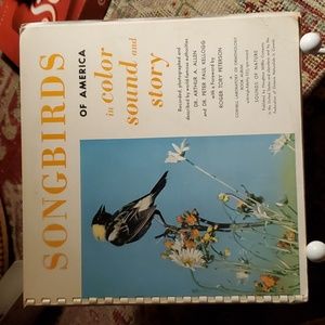 💥SOLD💥Vintage Vinyl SONGBIRDS
